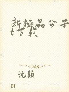 新极品公子txt下载