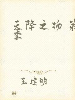 天降之物 第一季