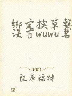 绑定挨草系统后没有wuwu名字