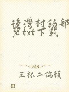 后湾村的那些事儿txt下载