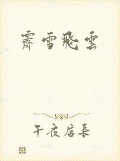 霁雪飞云