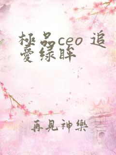 极品ceo 追爱绿眸
