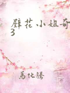 壁花小姐奇遇记3