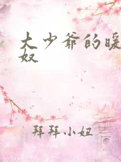 大少爷的暖床小奴