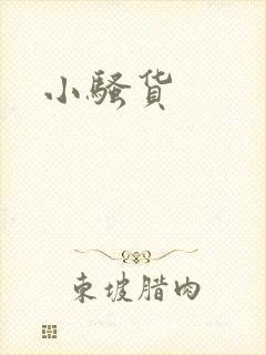 小骚货