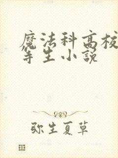 魔法科高校的劣等生小说