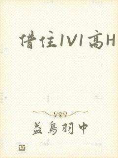 借住1V1高H