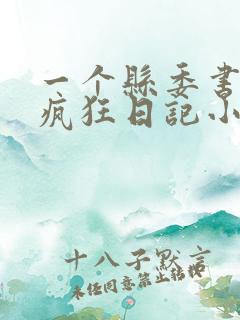 一个县委书记的疯狂日记小说