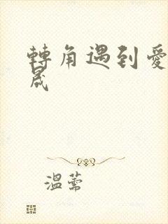 转角遇到爱 李晟