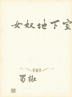 女奴地下室