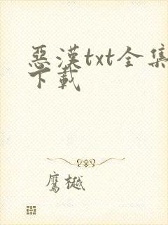 恶汉txt全集下载