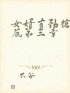 女婿有劲枪枪到底第三章