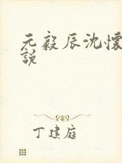 元毅辰沈怀妆小说