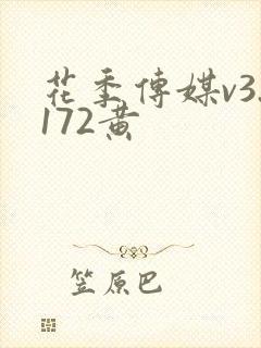 花季传媒v3.172黄