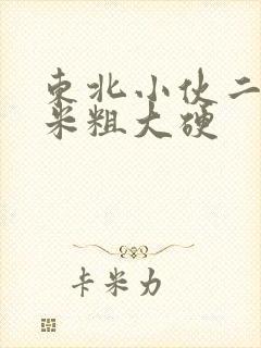 东北小伙二十厘米粗大硬