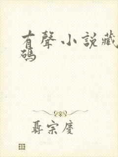 有声小说藏地密码