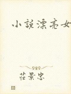 小说漂亮女局长