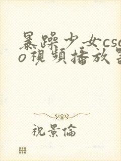 暴躁少女csgo视频播放器推荐