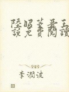 陆昭菱晋王的小说免费阅读