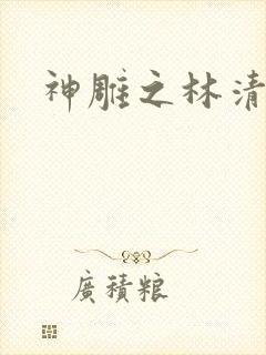 神雕之林清传