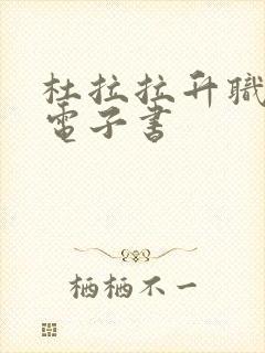 杜拉拉升职记 电子书