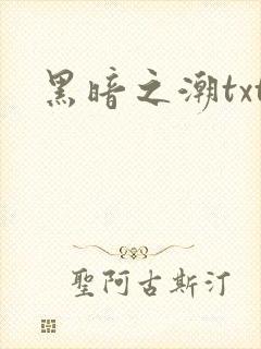 黑暗之潮txt