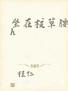 坐在校草腰上动h