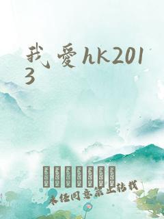 我爱hk2013