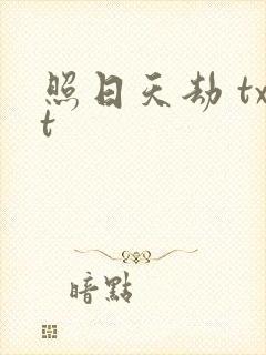 照日天劫 txt