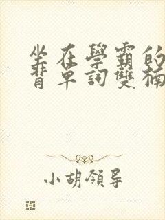 坐在学霸的棍子背单词双楠