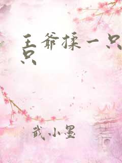 王爷揉一只舔一只