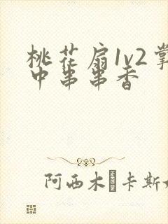 桃花扇1v2掌中串串香