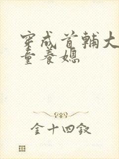 穿成首辅大人的童养媳