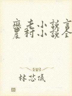 恋老小说言情网农村小说全文阅读