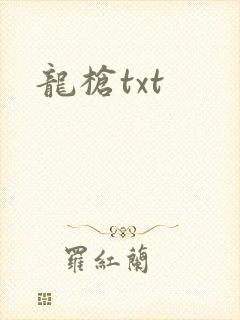 龙枪txt