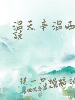 温天辛温西离小说