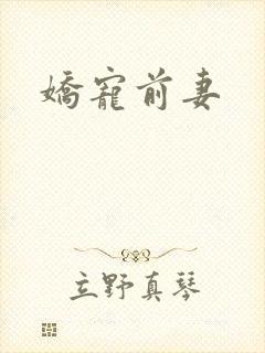 娇宠前妻
