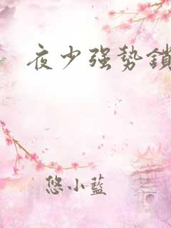 夜少强势锁婚
