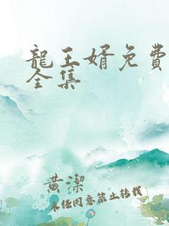 龙王婿免费完结全集