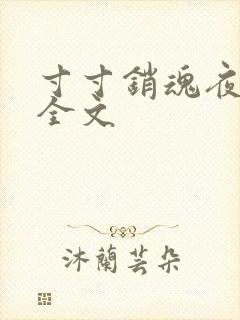 寸寸销魂夜春光全文