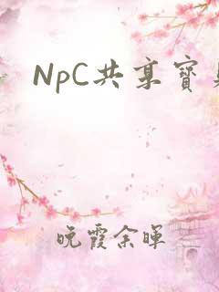 NpC共享宝贝