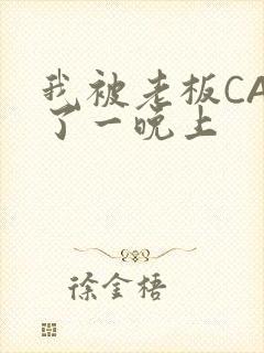 我被老板CAO了一晚上