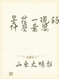 昙花一现的现是什么意思