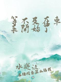 等不及在车里就来开始了