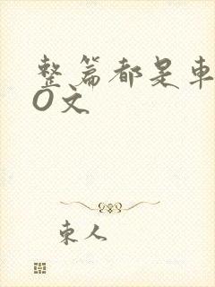 整篇都是车的PO文