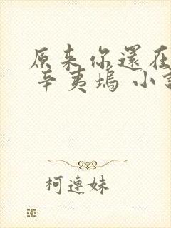 原来你还在这里 辛夷坞 小说