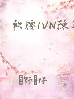 软腰1VN陈年