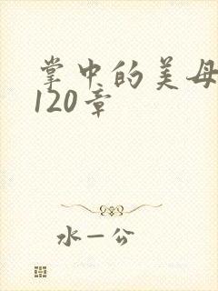 掌中的美母版主120章