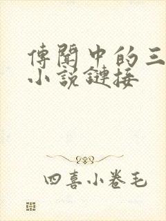 传闻中的三公主小说链接