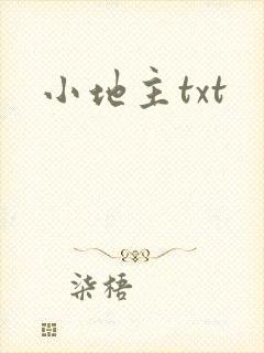 小地主txt